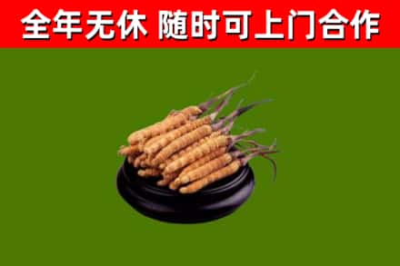 沁市烟酒回收冬虫夏草.jpg